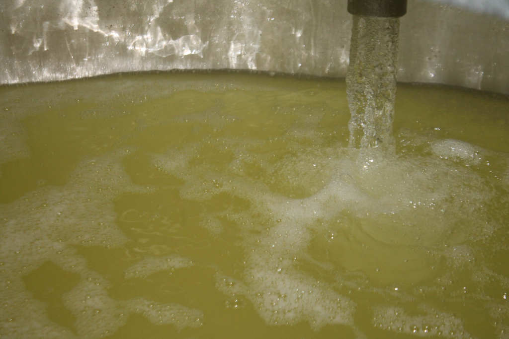 Regolazione alcolica